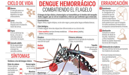 Intensifican medidas contra el dengue por alerta sanitaria