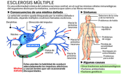 Madre hondureña alza la voz y clama por enfermos de esclerosis
