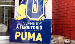 Peligro en Unah-vs por viejas y descuidadas instalaciones