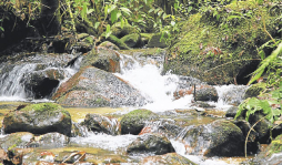 El Cusuco, una belleza natural sin promoción