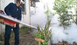 Casos de dengue aumentan en 188%