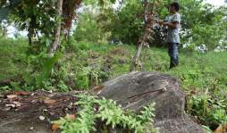 Historia sepultada en 'Cementerio de los Gringos”