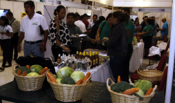 En un 23% crecen agroexportaciones