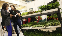 Empresa ofrece cosechas más sanas y a domicilio