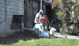 Recolector de basura, trabajo para corajudos en Honduras