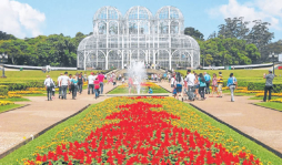 Buscan importar el desarrollo de Curitiba a San Pedro Sula