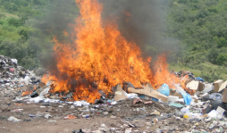 Medicamento vencido se va al crematorio