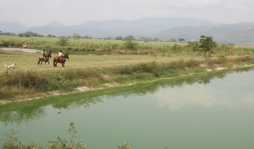 Más de 68,000 vecinos no tienen alcantarillado