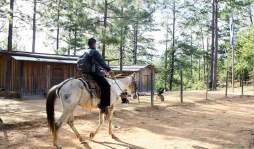 Jesús Vásquez, maestro del año en Honduras viaja 5 horas a caballo