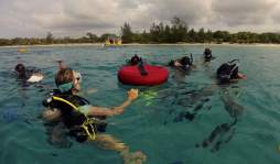 Utila, la isla hondureña perfecta para los amantes del buceo