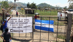 Familias de bordos se toman terreno