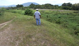 Árboles y sedimento cubren el Canal Maya