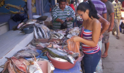 Aumenta el precio de mariscos en Tela