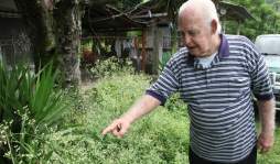 El naturólogo que cura con picadas de abejas