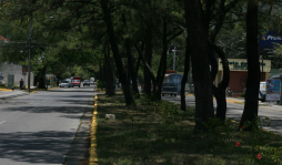 32 contratos para parques y bulevares