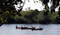 Exigen conservar los humedales