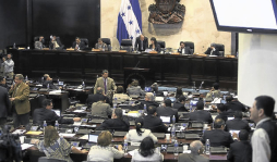 Indignación en el CN por contrato de la Enee