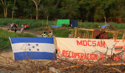 Vuelven a invadir tierras de ingenios