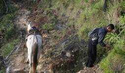 Jesús Vásquez, maestro del año en Honduras viaja 5 horas a caballo
