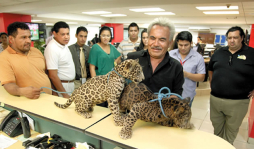 Leoparditos visitan redacción de La Prensa