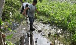 Historia sepultada en 'Cementerio de los Gringos”