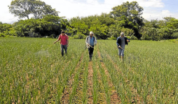 Fide y Honduras firman acuerdo por $ 21 millones