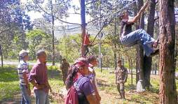 Cultivan semilleros de futuros guardianes en Honduras