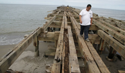 Continúan saqueando la madera del muelle fiscal