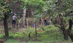 Predio invadido será complejo deportivo