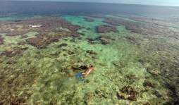 Utila, un paraíso hondureño amenazado por la sobrepoblación