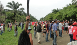 Suspenden desalojo en la finca San Isidro