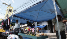 Vendedores piden que agilicen ayuda