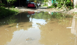 No hay servicios básicos en colonia Buena Inversión