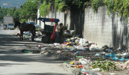 Hay 68 basureros clandestinos en San Pedro Sula