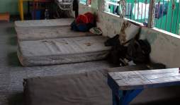 'Los hombres se quebraban, nosotras les cantábamos”: balseras