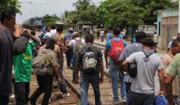 Hasta 600 hondureños lleva la 'Bestia” en cada viaje