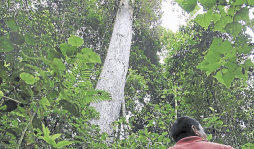 El Cusuco, una belleza natural sin promoción