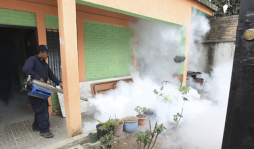 Disminuyen casos de dengue en San Pedro Sula