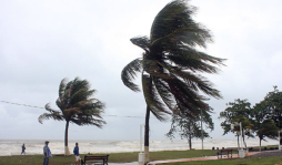 Árboles derribados y ríos crecidos deja inicio de frente frío en La Ceiba