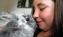 Descifre emociones en los animales