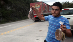 Batido, dulce tradición que genera cientos de empleos