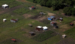 Invasiones causan pérdidas y costos de L400 millones