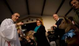 San Antón 'bendice” a las mascotas