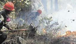 Grupo de la ONU sobre mercenarios inicia mañana una visita a Honduras