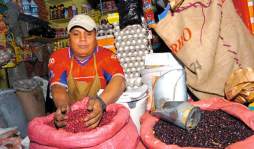 Agricultura se declara en alerta por 'frijolazo”