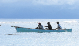 Alerta por peces globo y león en Honduras