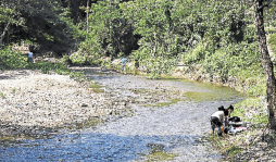 Urgen obras de mitigación en aldea La Coroza