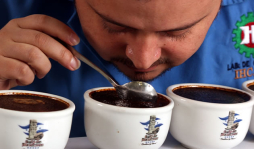 Aerolíneas internas vuelan alto con precios bajos