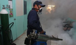 Alerta sanitaria por dengue en San Pedro Sula