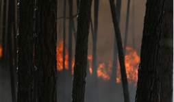 Grupo de la ONU sobre mercenarios inicia mañana una visita a Honduras